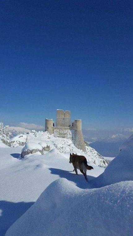 B&B Eden LʼAquila Dış mekan fotoğraf